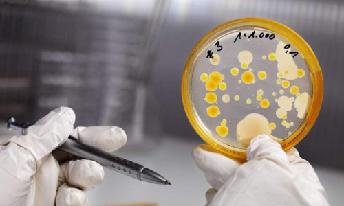 ʵ���ҿ��գ�΢����ʵ�������������ҪҪ��