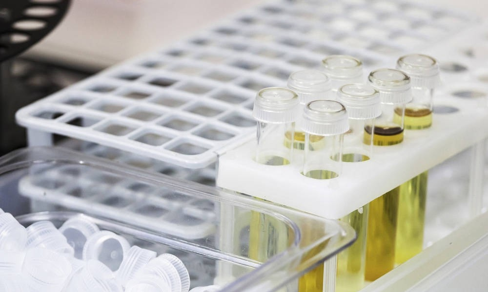 ʵ������ƣ���ѧʵ���ҹ滮 �������׵�����