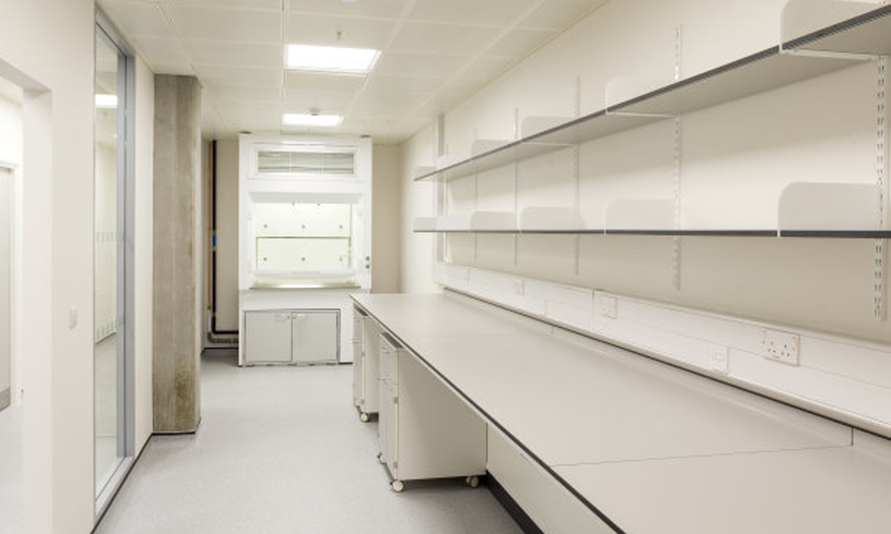 ʵ�����������������ʵ���ҵĻ�����Ⱦ�����